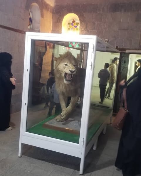 إقبال كبير على زيارة المتحف الوطني ومتحف الموروث الشعبي خلال إجازة عيد الأضحى - صورة إضافية 1